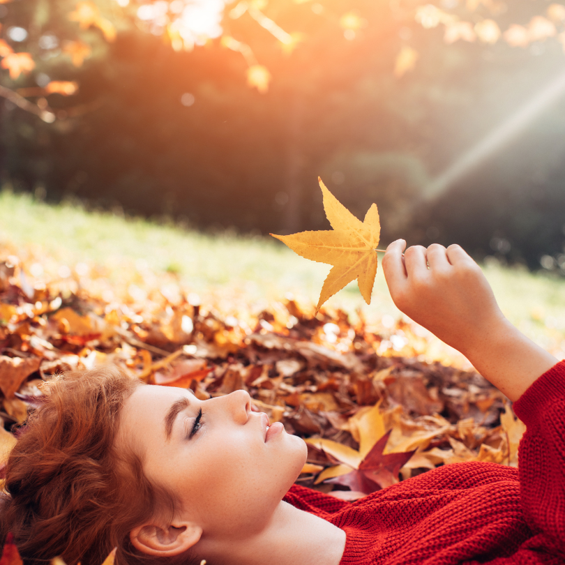 Read more about the article Autumn Season of Change